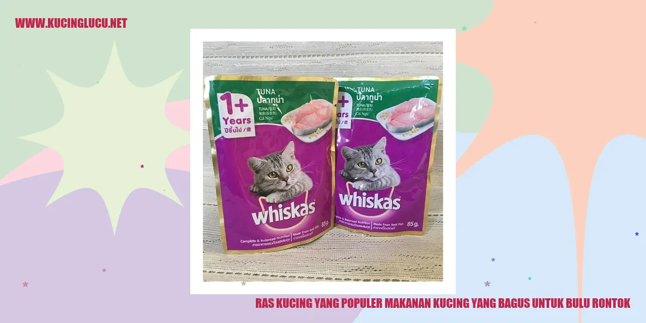 Ras Kucing yang Populer makanan kucing yang bagus untuk bulu rontok