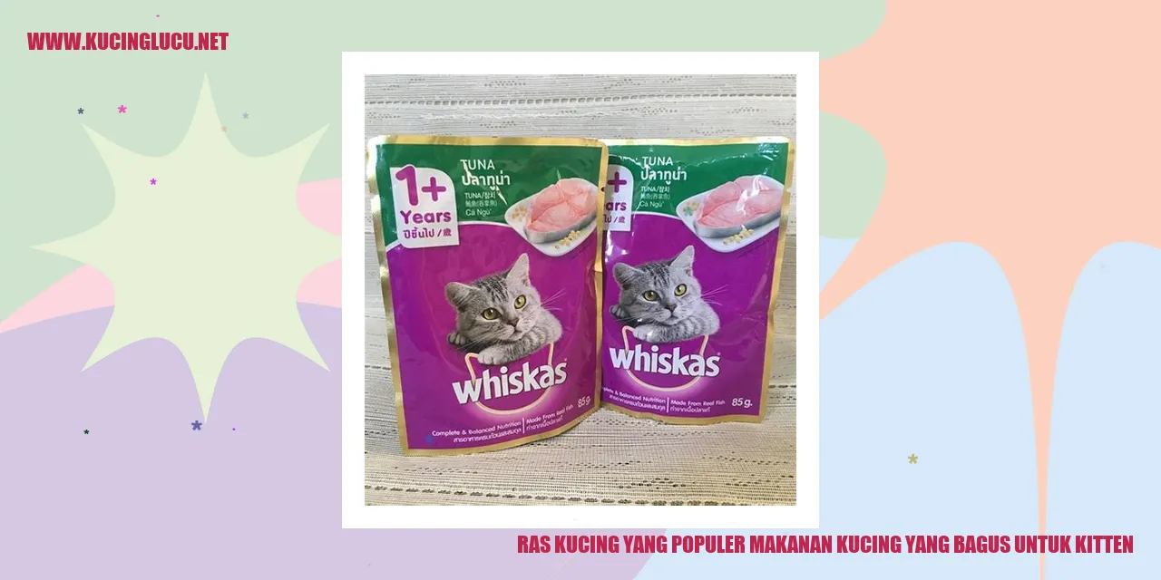 Ras Kucing yang Populer