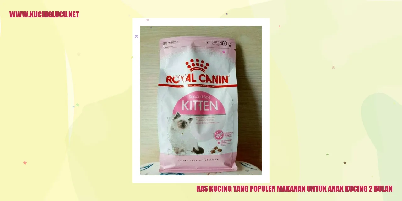Ras Kucing yang Populer makanan untuk anak kucing 2 bulan