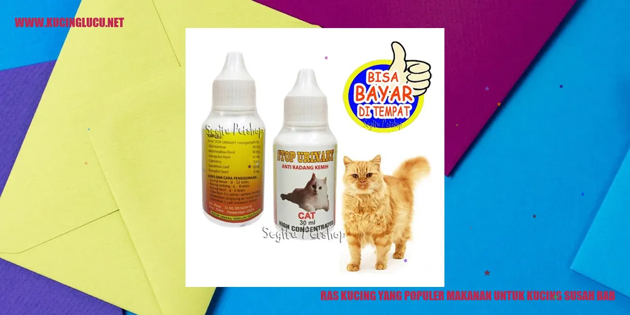 Gambar Ras Kucing yang Populer