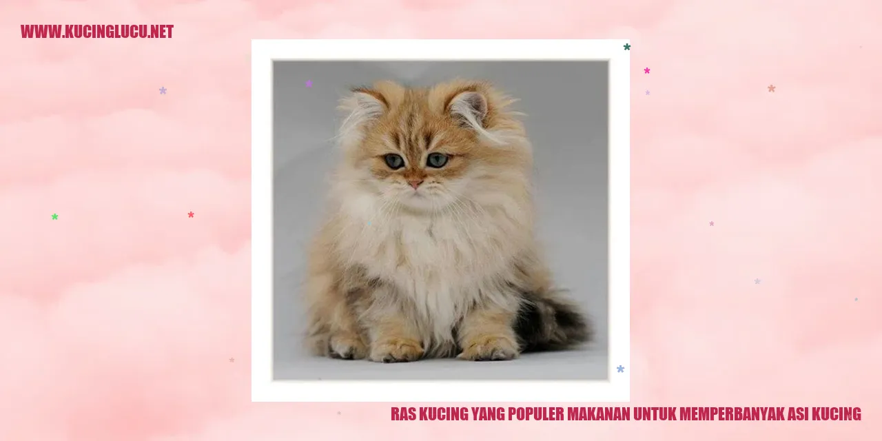 Ras Kucing yang Populer makanan untuk memperbanyak asi kucing