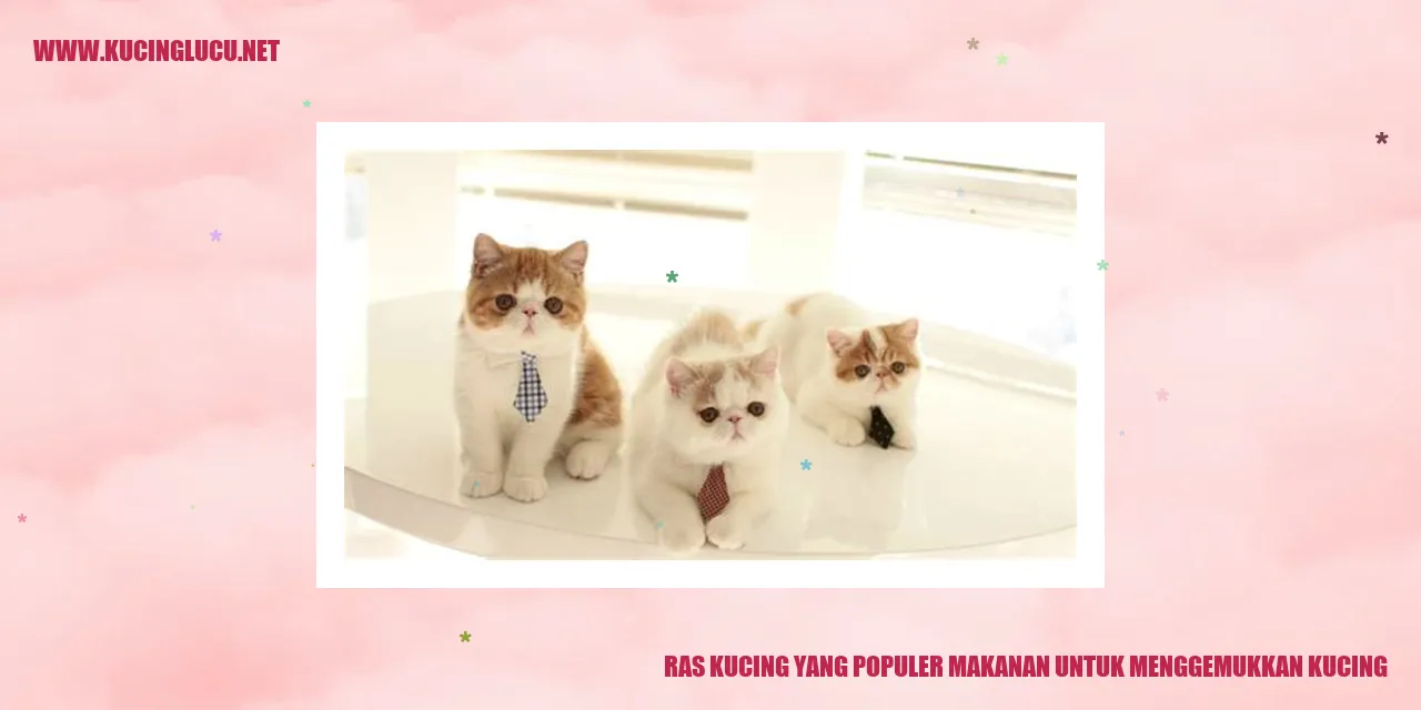 Ras Kucing yang Populer makanan untuk menggemukkan kucing