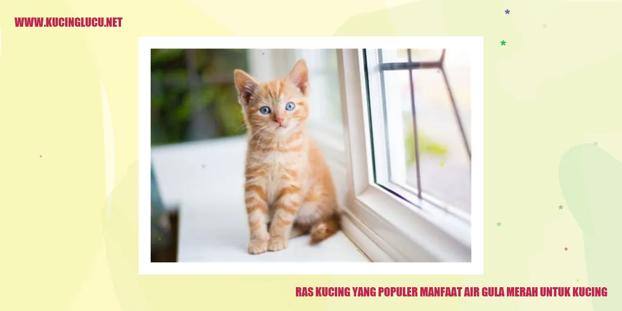 Ras Kucing