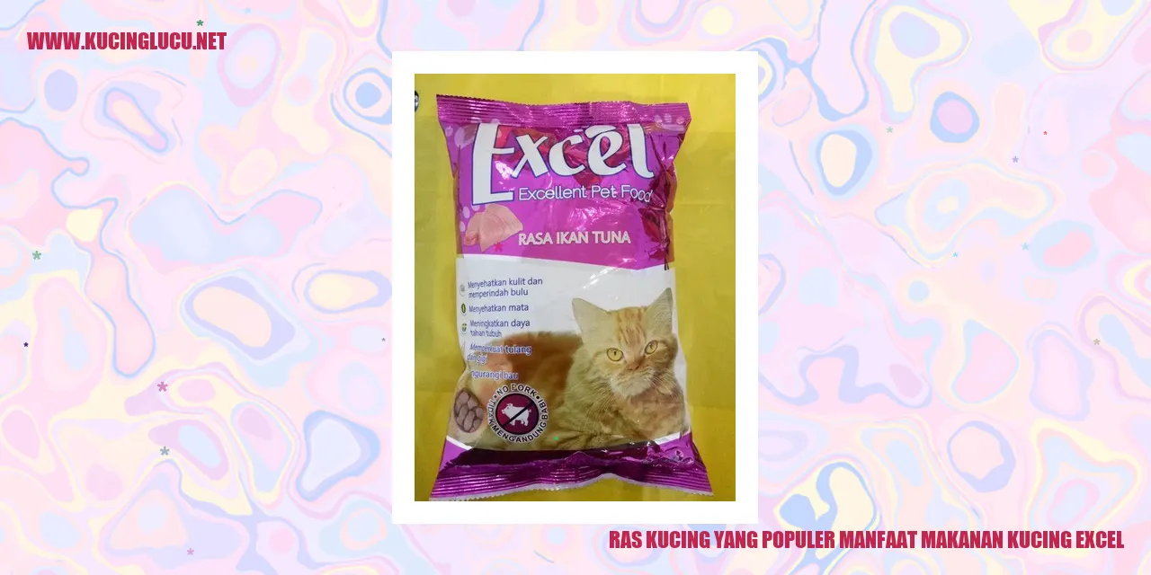 Ras Kucing yang Populer manfaat makanan kucing excel