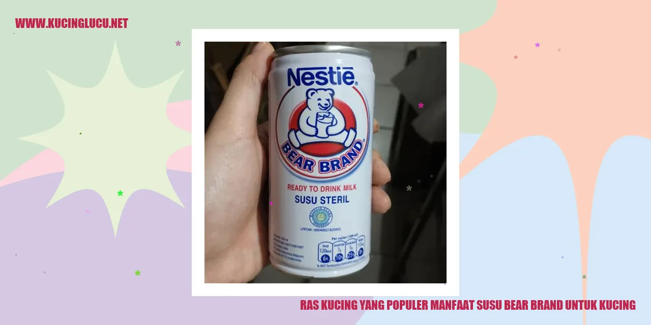 Manfaat Susu Bear Brand untuk Kucing