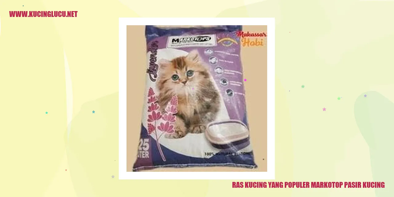 Ras Kucing yang Populer Markotop Pasir Kucing