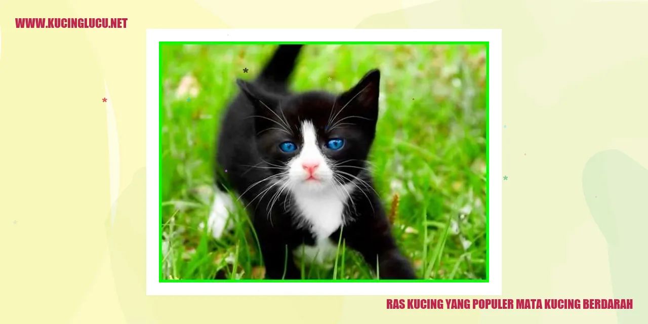 Kucing Ras yang Populer: Mata Kucing Berbisik
