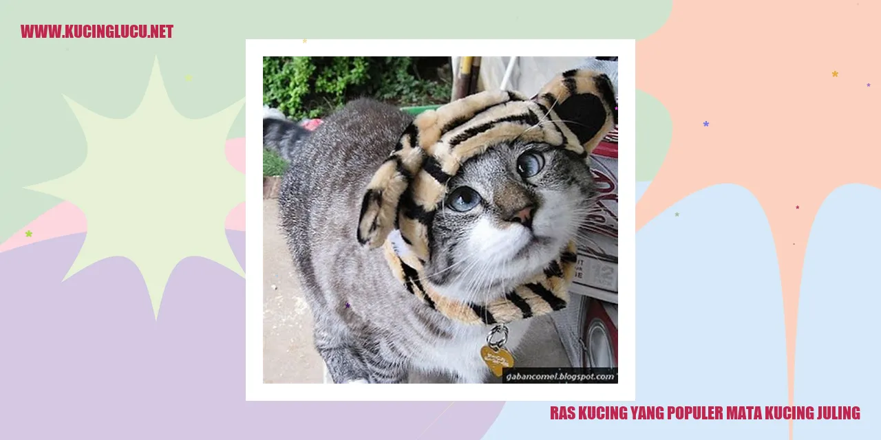 Ragam Kucing dengan Mata yang Unik