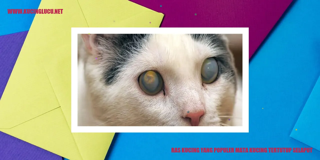 Ras Kucing dengan Mata yang Terlindungi Selaput