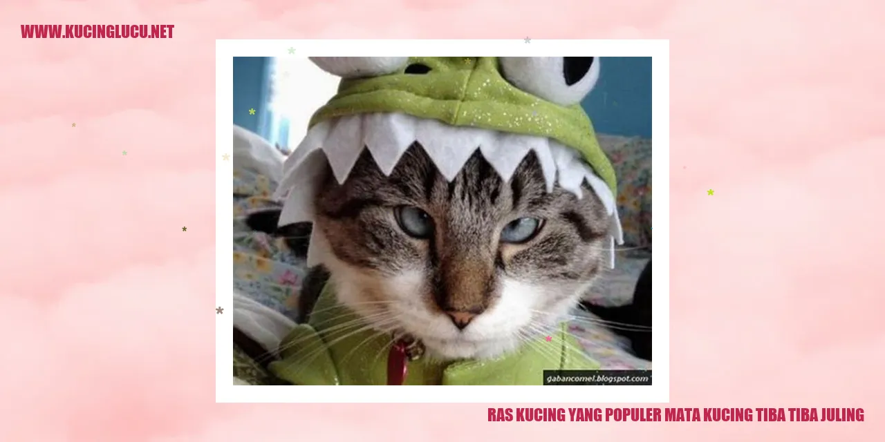 Ras Kucing yang Populer mata kucing tiba tiba juling