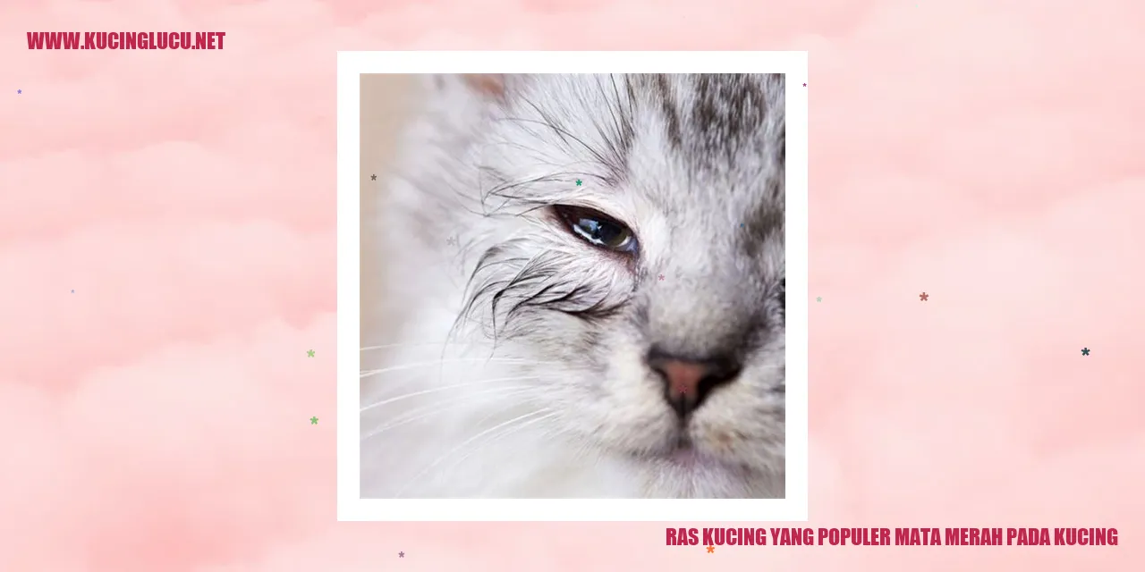 Ras Kucing yang Populer dengan Mata Merah
