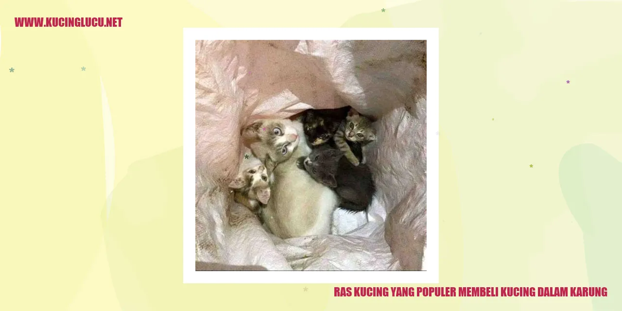 Ras Kucing yang Populer membeli kucing dalam karung