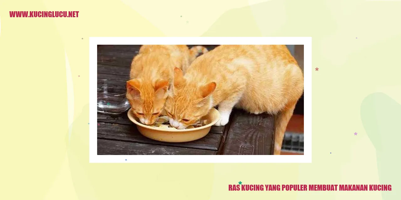 Gambar Kucing Membuat Makanan