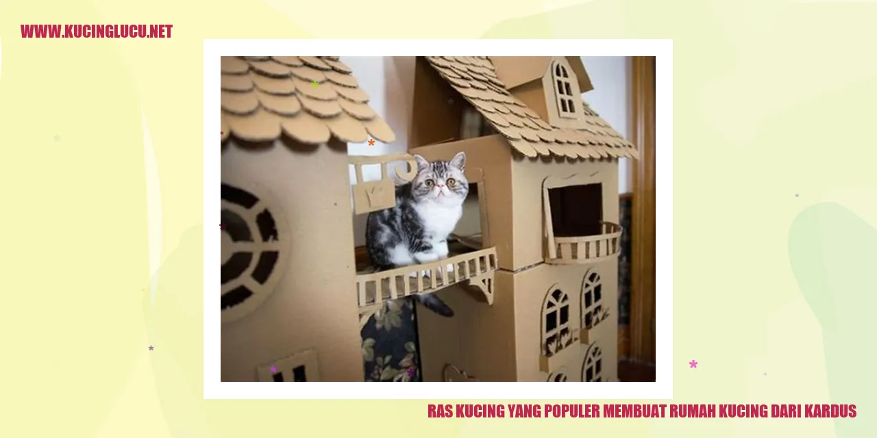 Ruang sempurna bagi kucing dalam rumah kardus