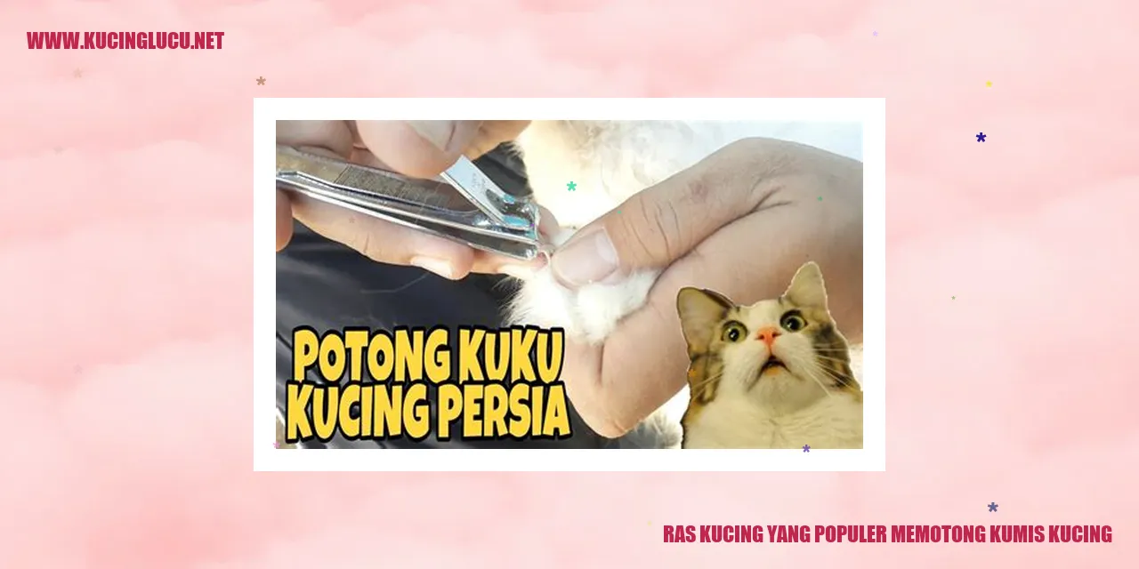 Ras Kucing yang Populer memotong kumis kucing
