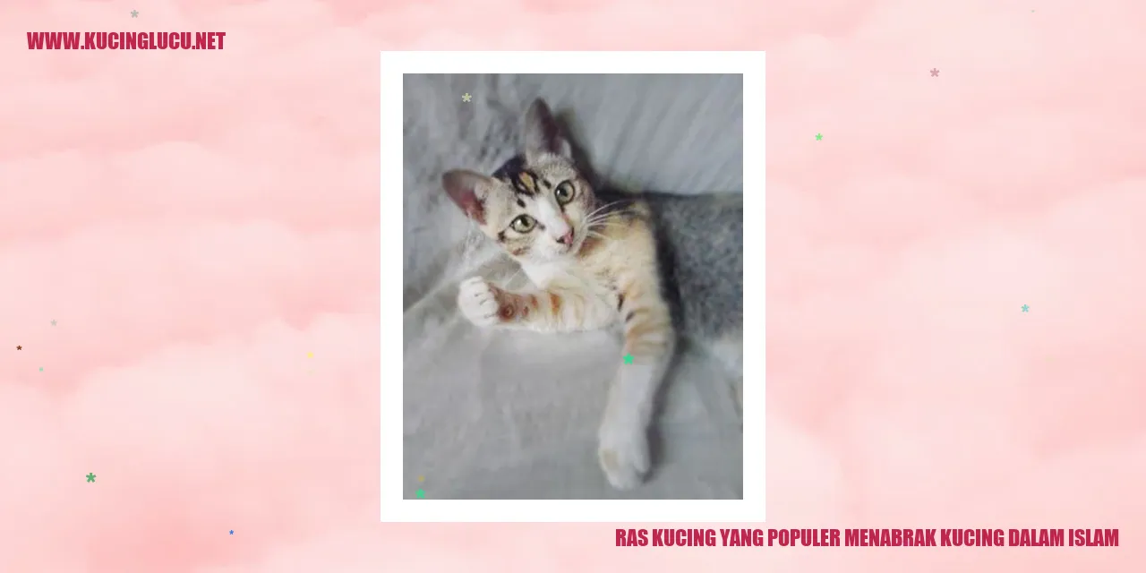 Ras Kucing yang Populer menabrak kucing dalam Islam