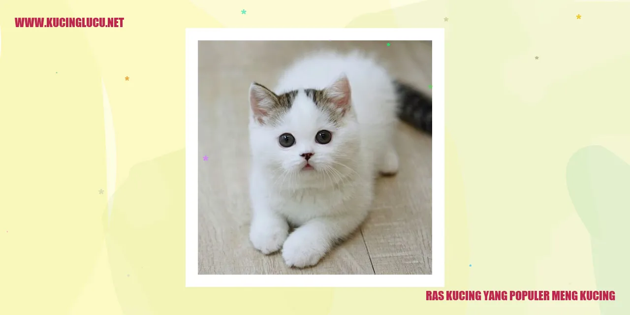 Ras Kucing yang Populer