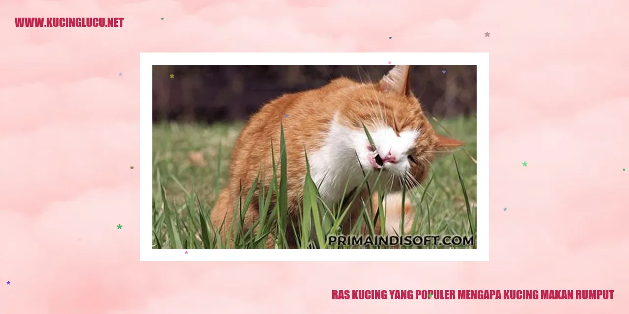 Gambar Kucing Menggigit Rumput