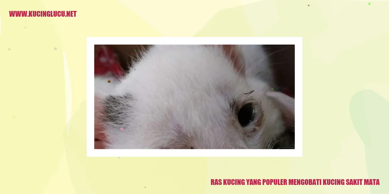 Ras kucing mengobati kucing sakit mata