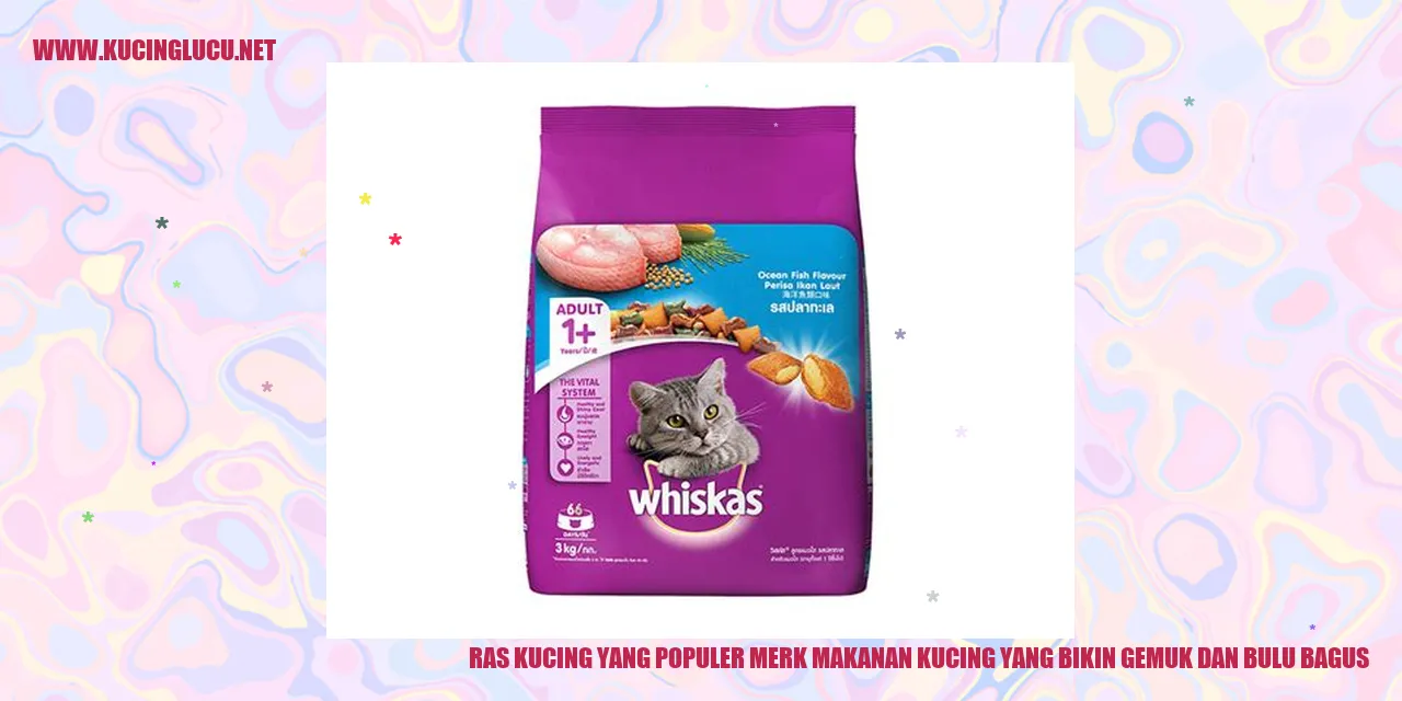 Ras Kucing yang Populer