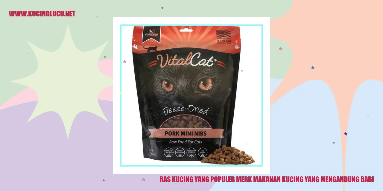 Gambar Kucing yang Terkenal