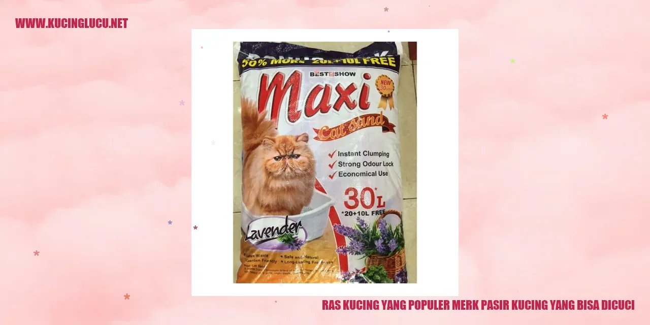 Pasir Kucing yang Praktis dan Bersih