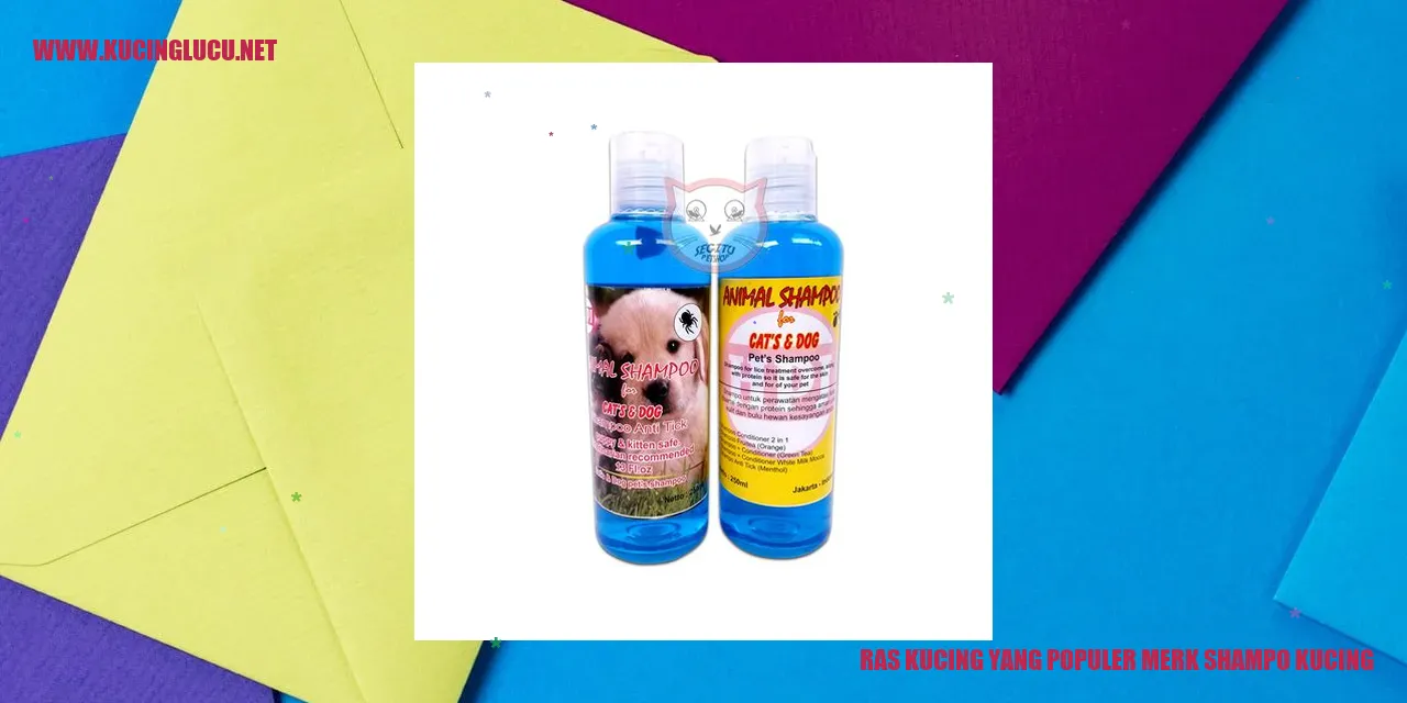 Ras Kucing yang Populer merk shampo kucing