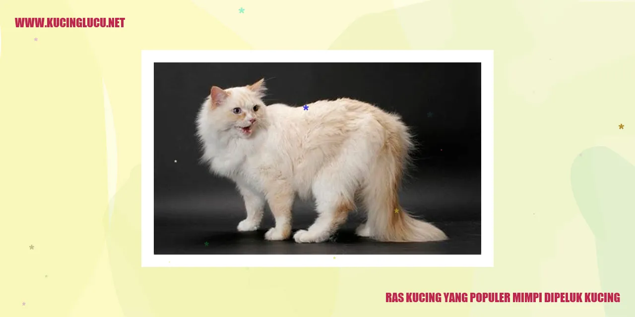 Ras Kucing yang Populer mimpi dipeluk kucing