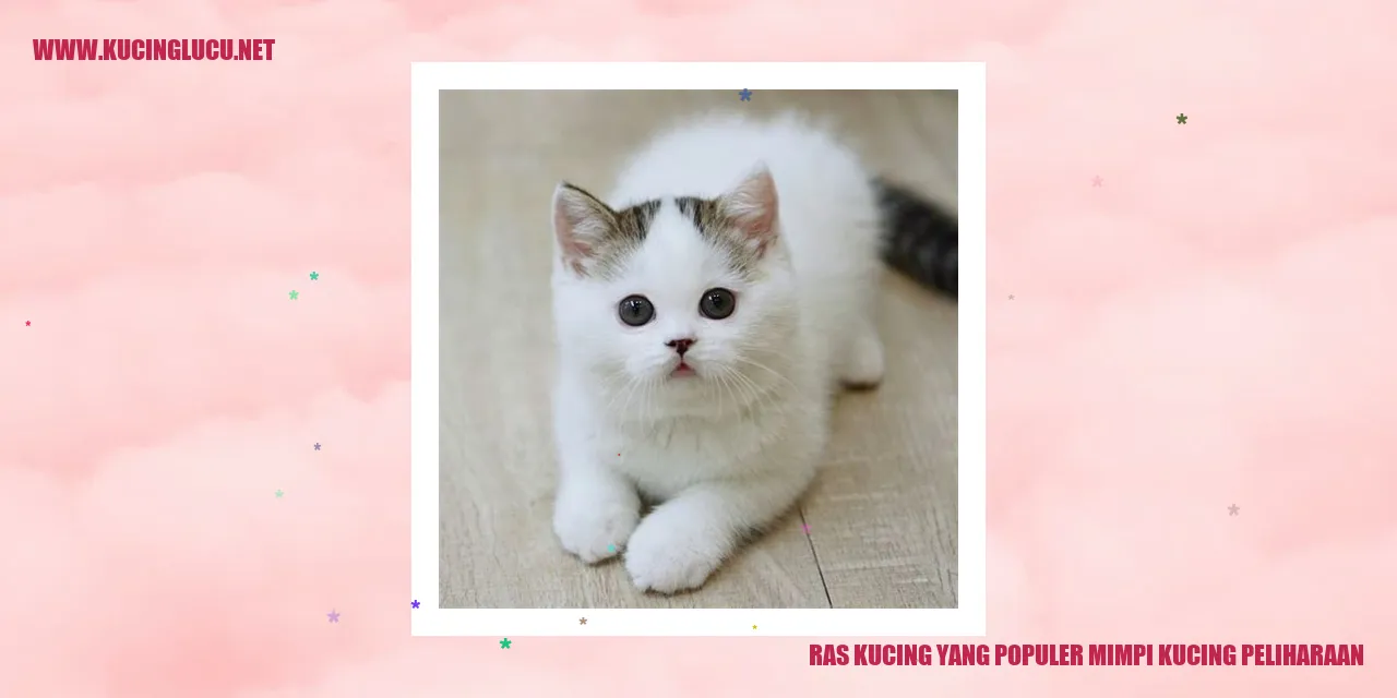 Ras Kucing yang Populer mimpi kucing peliharaan