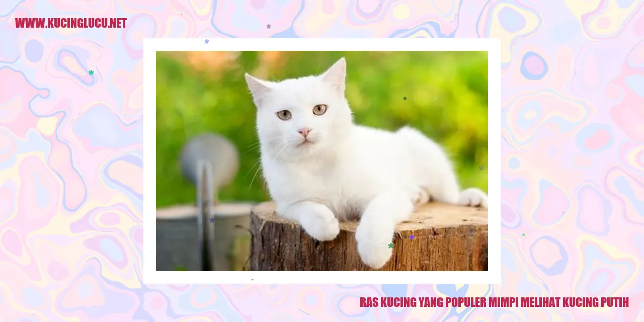 Ras Kucing yang Terkenal Mengamati Kucing Berbulu Putih
