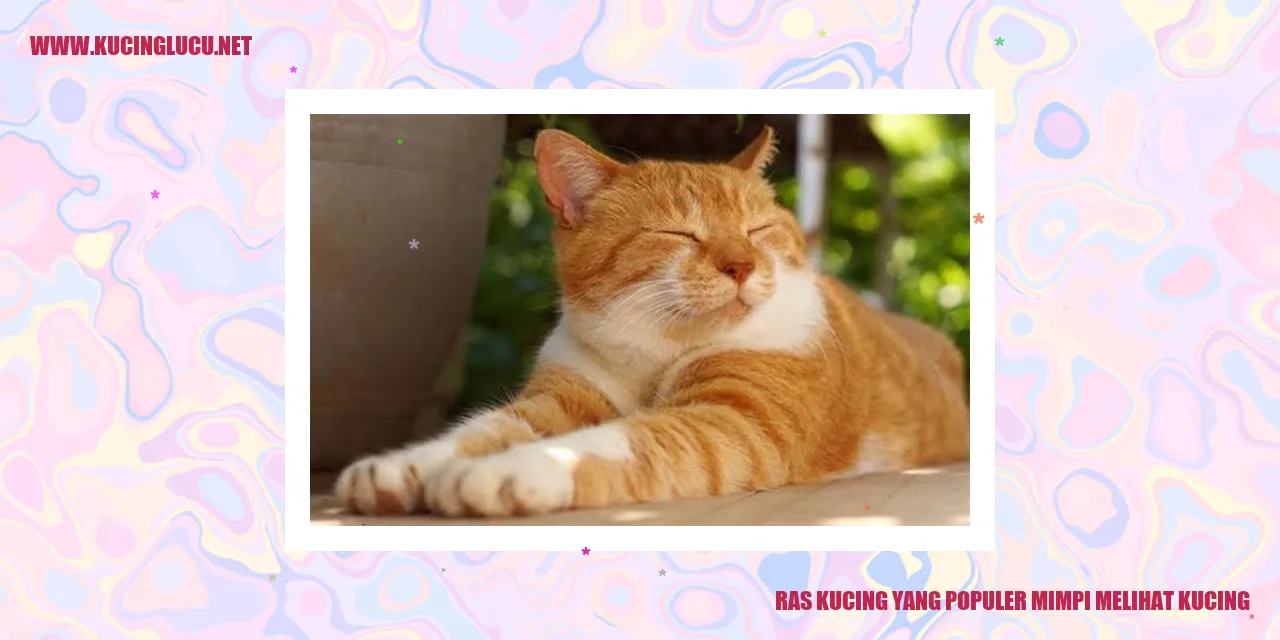 Ras Kucing yang Populer melihat kucing