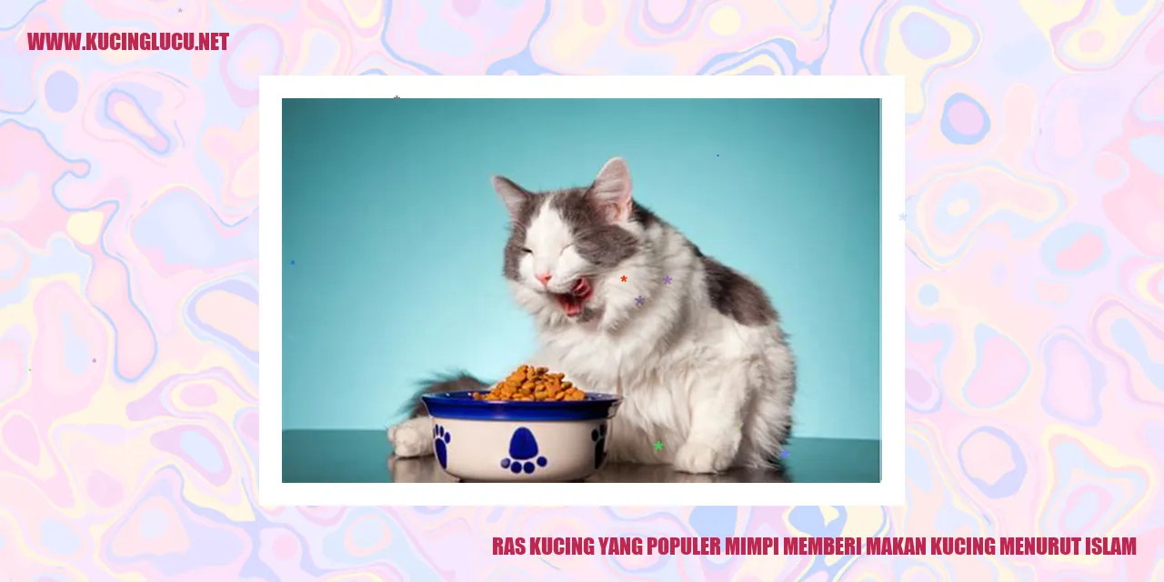 gambar ras kucing