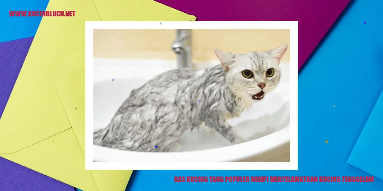 Kucing Lembut