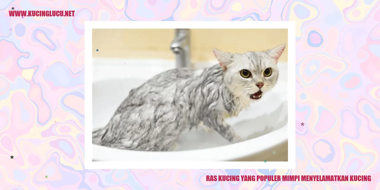 Ras Kucing yang Populer mimpi menyelamatkan kucing