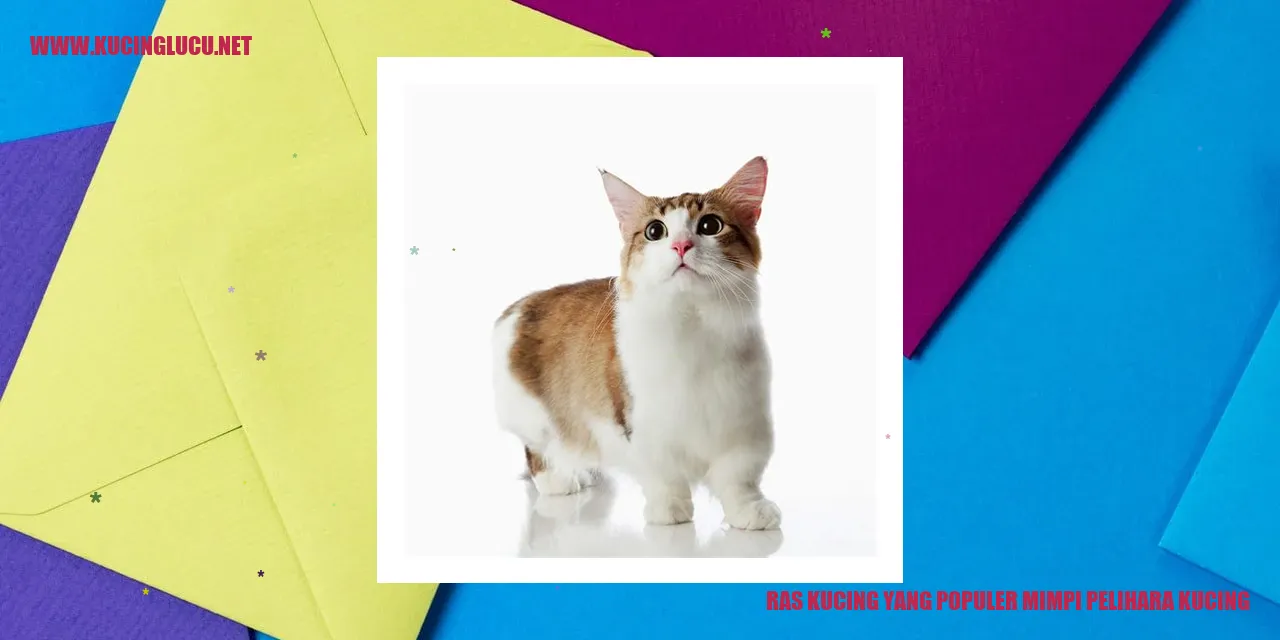 Kucing Ras Populer