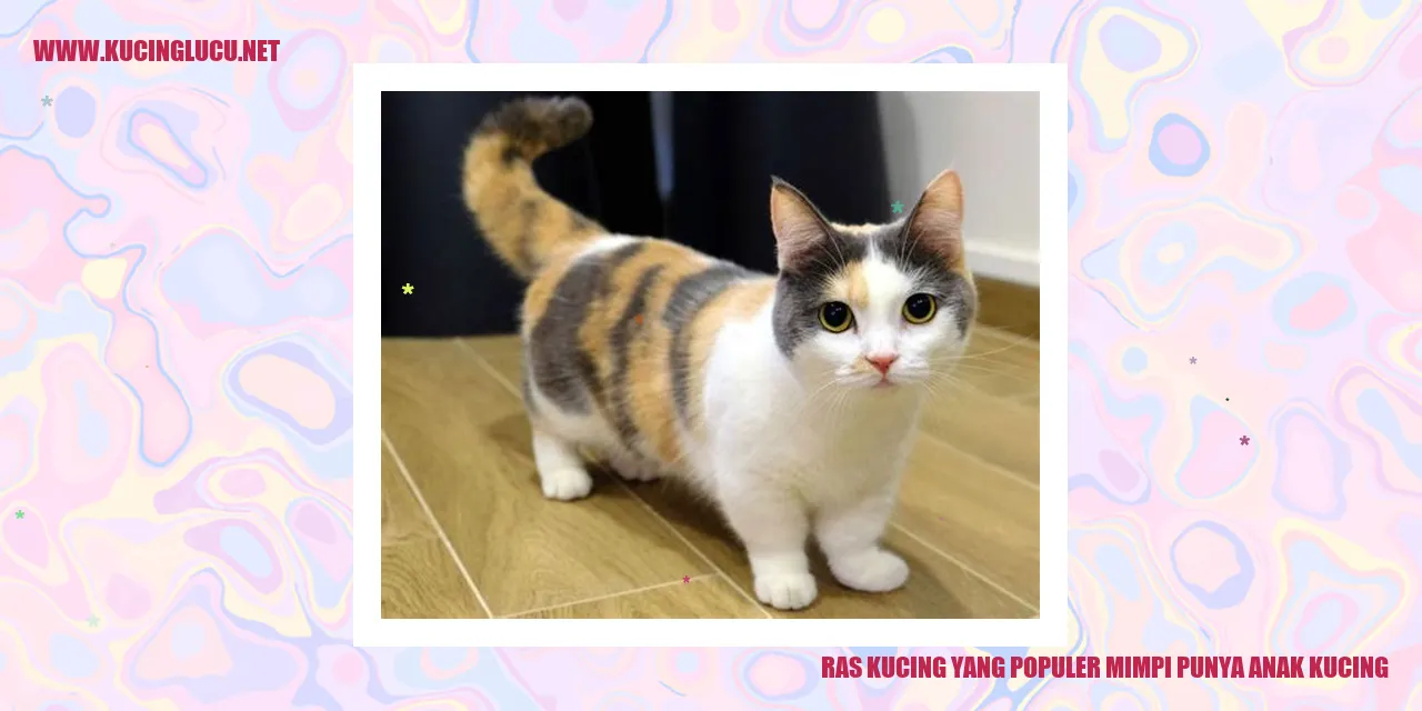 Ras Kucing yang Populer mimpi punya anak kucing