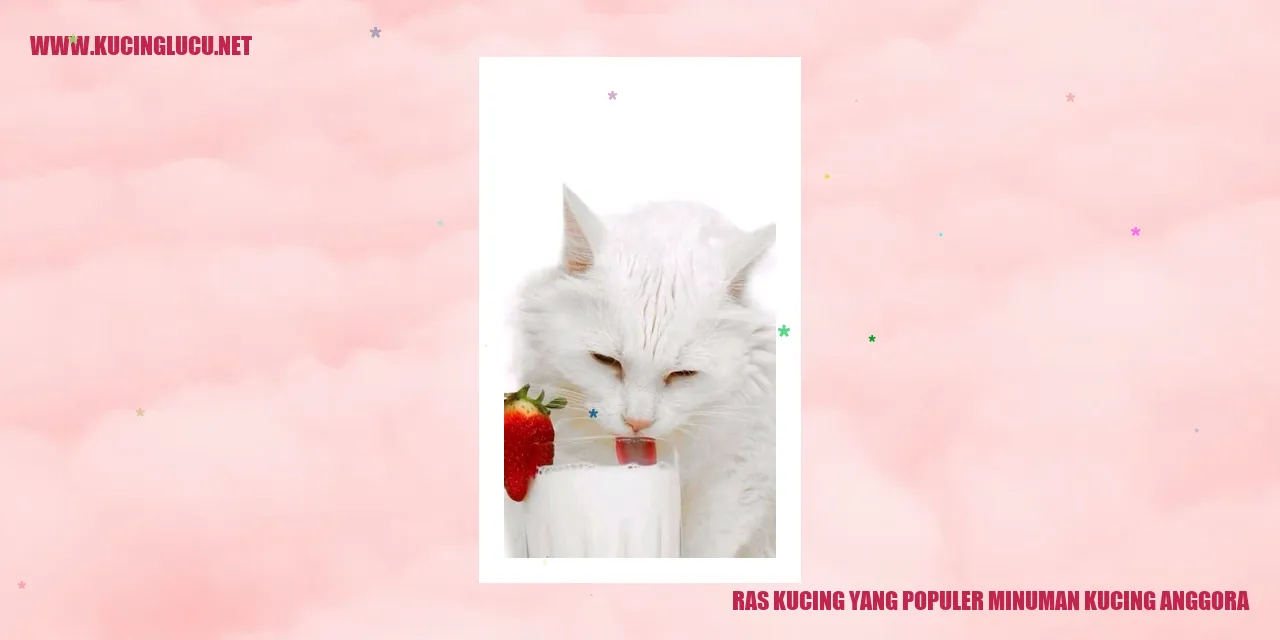 Minuman Kucing Anggora