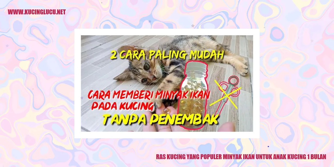 Ras Kucing yang Populer Minyak Ikan untuk Anak Kucing 1 Bulan