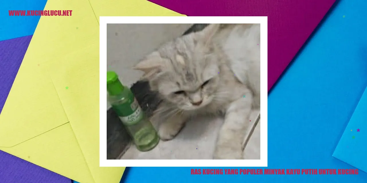 Kucing dengan minyak kayu putih