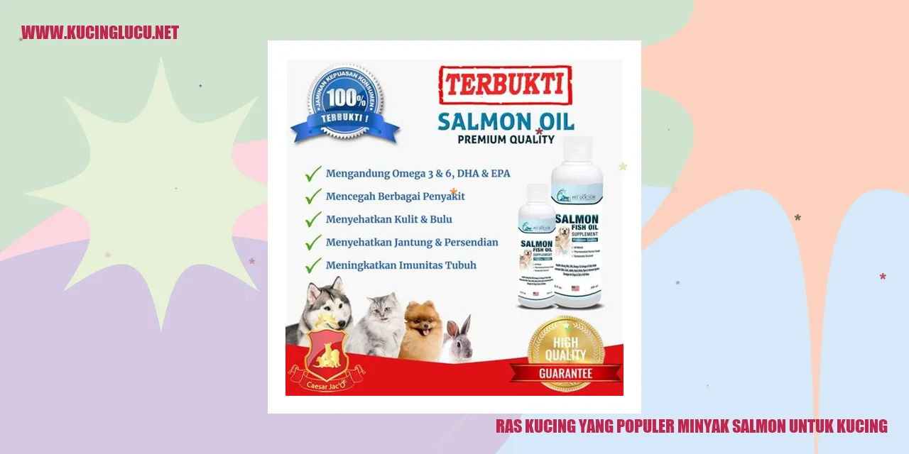 Ras Kucing yang Populer dengan Minyak Salmon untuk Kucing