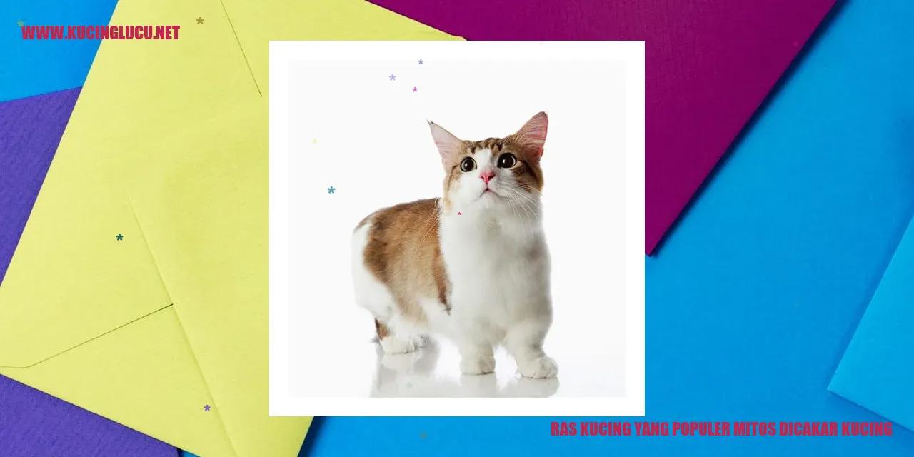 Ras Kucing yang Populer