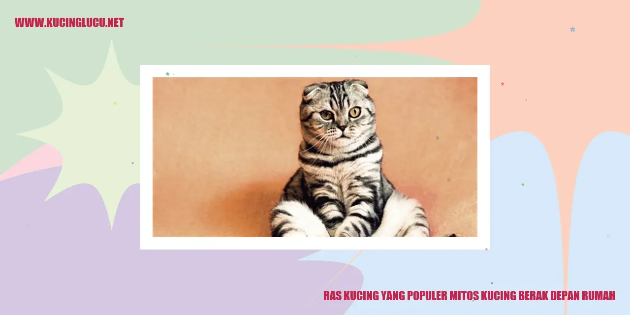 gambar kucing