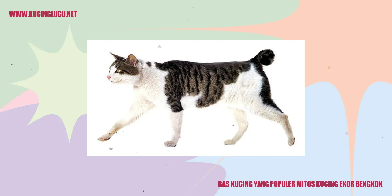 Kucing Ekor Bengkok