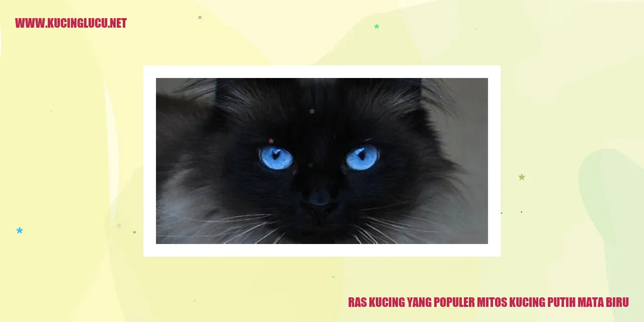 Ras Kucing yang Populer: Mitos Kucing Putih Mata Biru