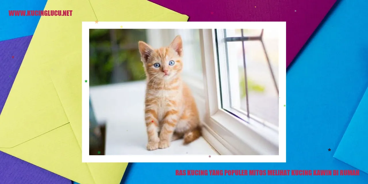 Ras Kucing yang Populer
