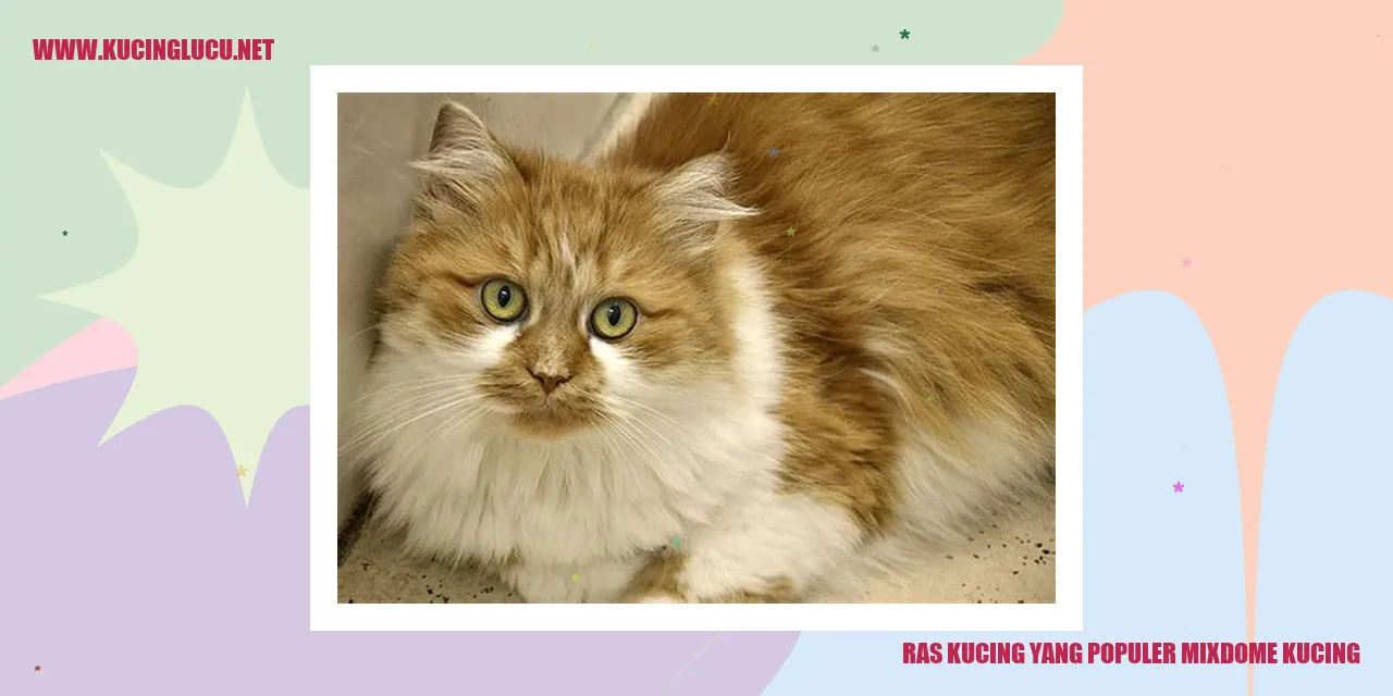 Ras Kucing yang Populer mixdome kucing