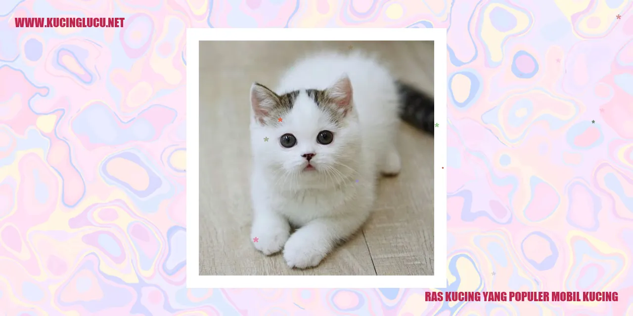 Ras Kucing yang Populer