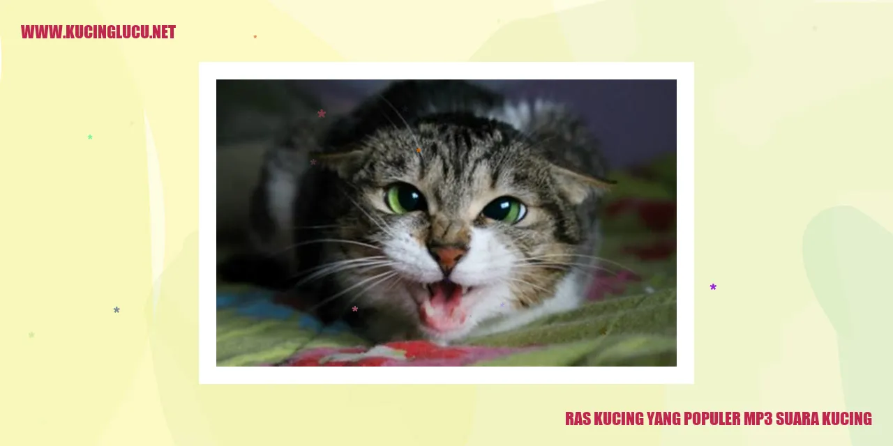 Kucing Ras Terkenal