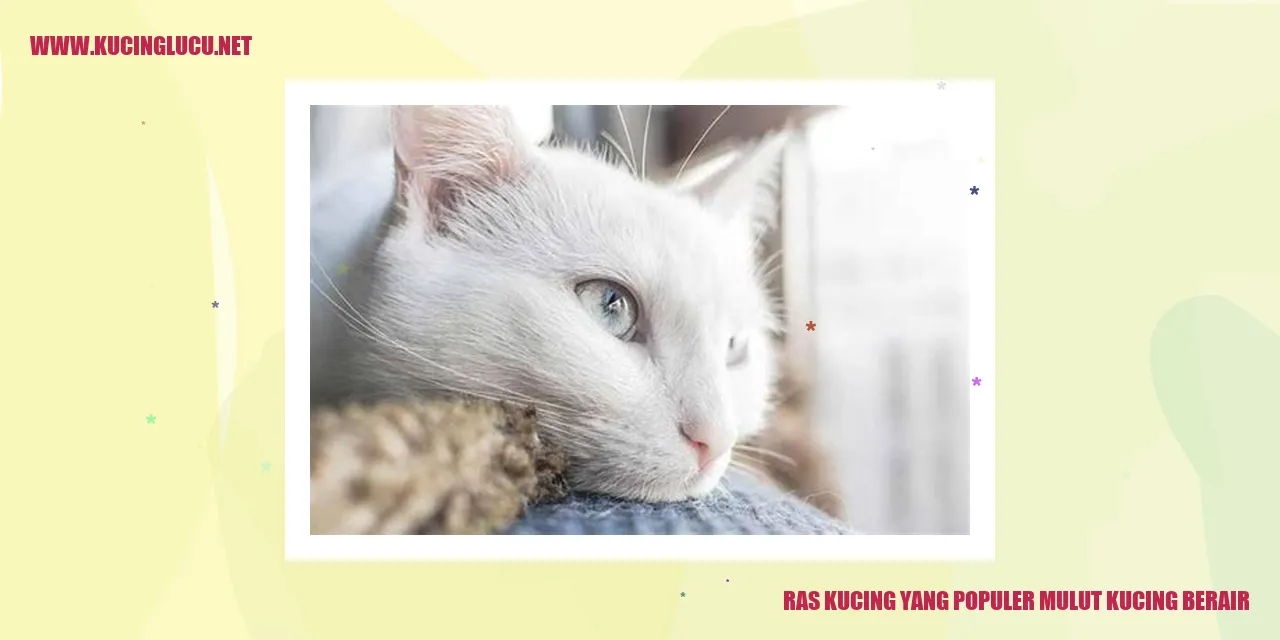 Ras Kucing yang Populer mulut kucing berair