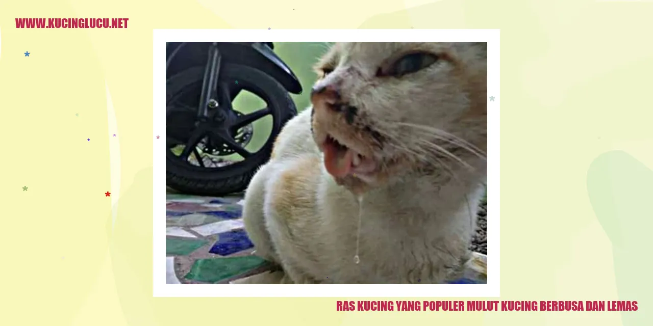 Kucing berbusa dan lemas